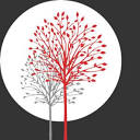 Dorie Simmonds Agency Limited logo
